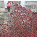 The Last Post by the Poppies at Lincoln Castle